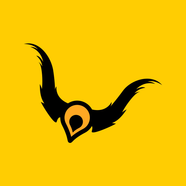 investor